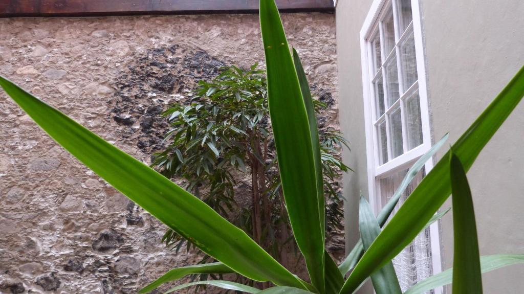 Apartament La Casa De Vegueta Las Palmas de Gran Canaria Zewnętrze zdjęcie