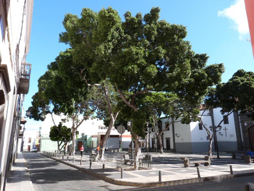 Apartament La Casa De Vegueta Las Palmas de Gran Canaria Zewnętrze zdjęcie